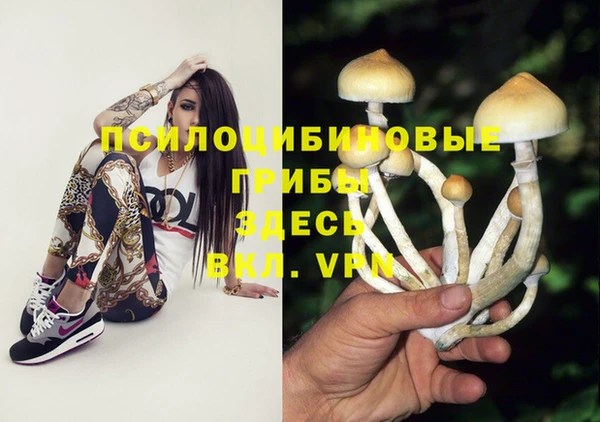 PSILOCYBIN Дмитров