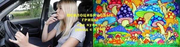 амф Дмитровск