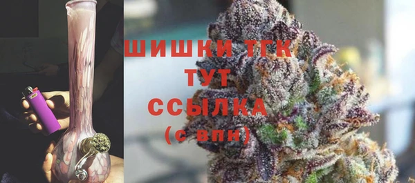 PSILOCYBIN Дмитров