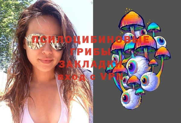 PSILOCYBIN Дмитров