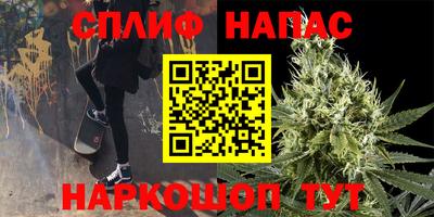 дмт Шахты