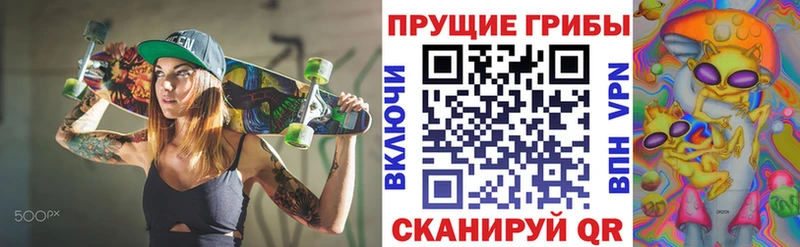 где найти   mega как войти  Псилоцибиновые грибы Cubensis  Моршанск 