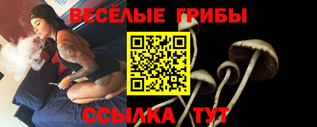 Псилоцибиновые грибы MAGIC MUSHROOMS Моршанск
