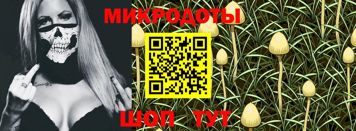 Галлюциногенные грибы MAGIC MUSHROOMS  Псилоцибиновые грибы прущие грибы  Моршанск  Вход с VPN 